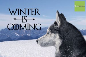 winter is coming hond
