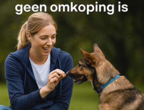 Waarom belonen geen omkoping is